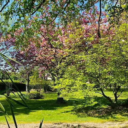 Le Tulipier Villa Manneville-la-Raoult Buitenkant foto